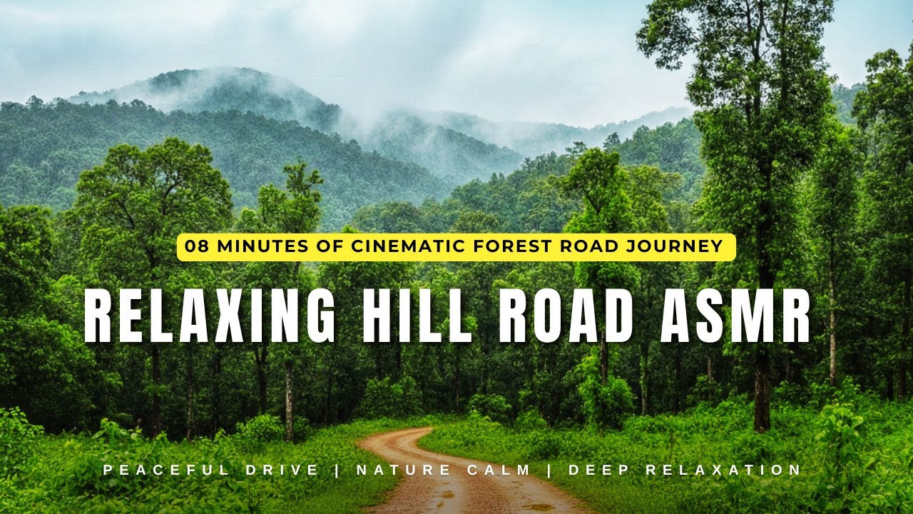 Misty Green Hills Drive After Rain | 8 Min Cinematic Forest Journey ASMR for Relaxation