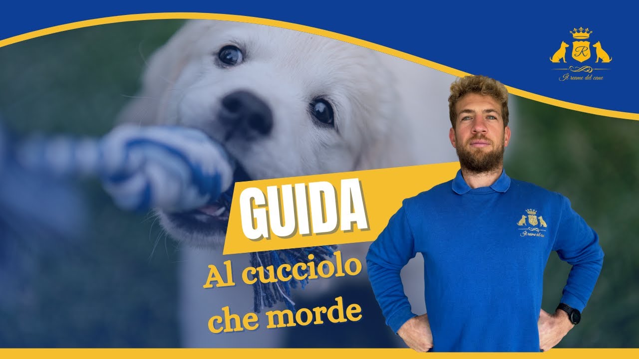 CUCCIOLI CHE MORDONO: gli errori che tutti fanno (e come evitarli)