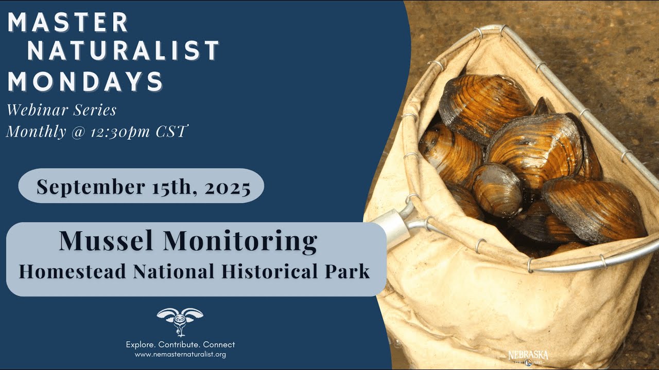 Mussel Monitoring at Homestead National Historical Park: September 15th, 2025