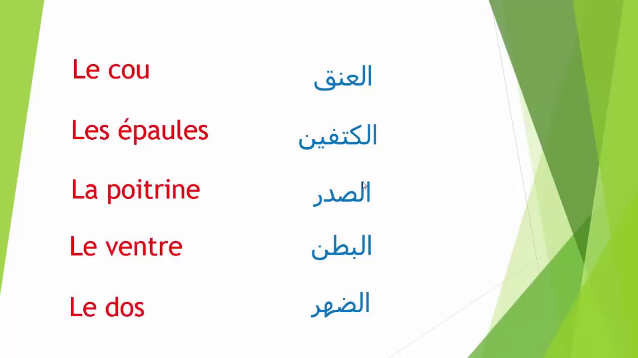 تعلم الفرنسية---أجزاء جسم الإنسان بالفرنسية ---les parties du corps humain