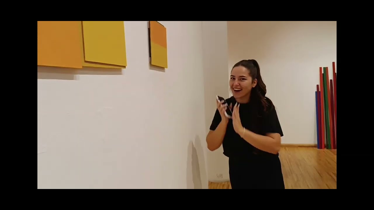 Izložba Dragomira Ugrena / Muzej Savremene umetnosti Novi Sad