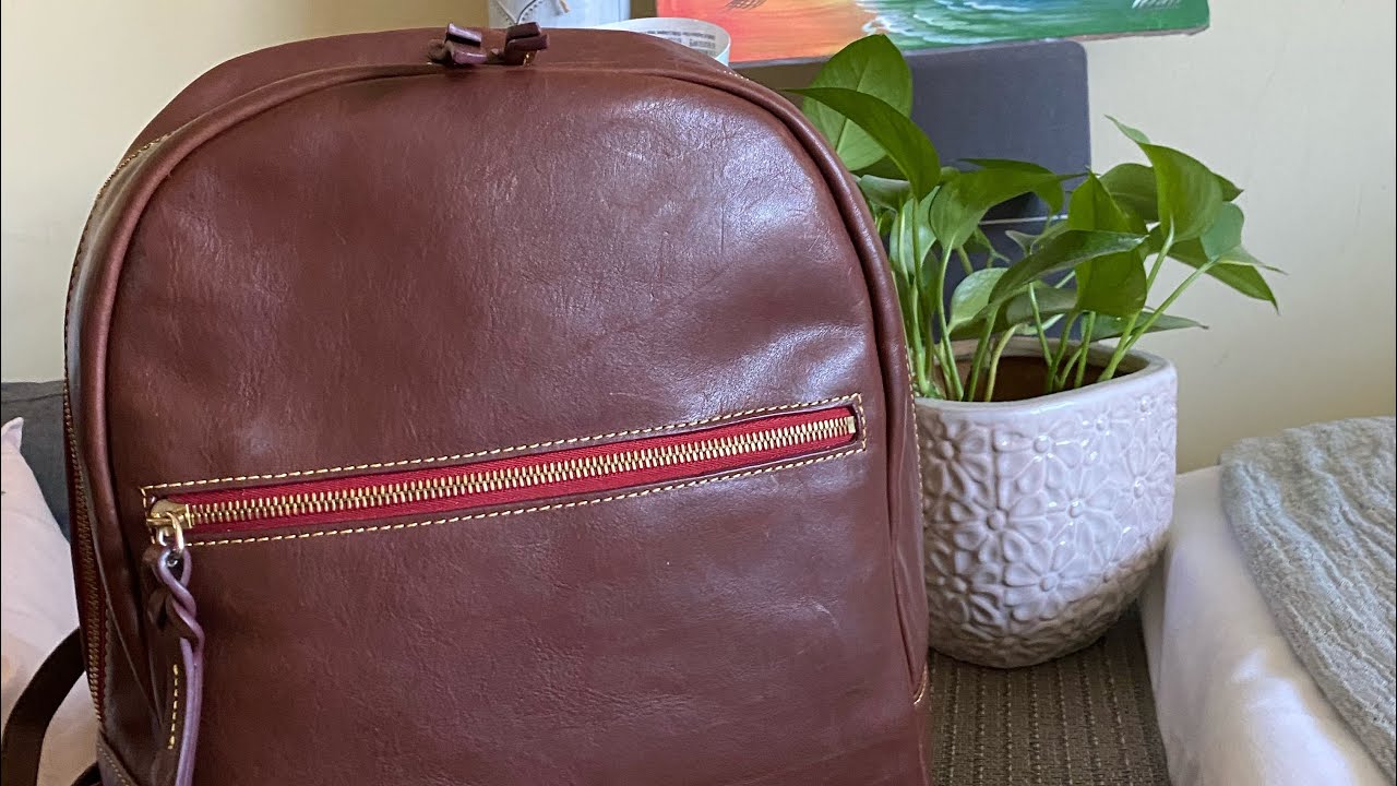 Dooney and Bourke Handbag | Florentine Backpack | Ronny Backpack | What fits and Mod shots