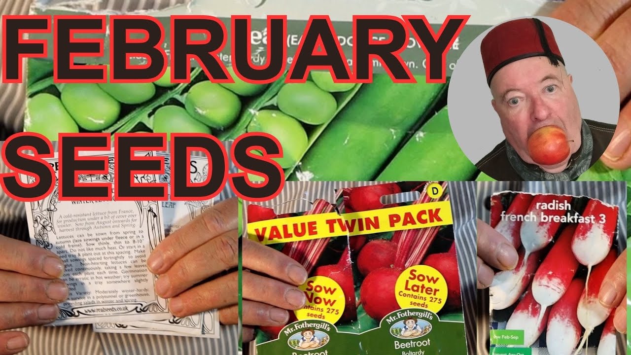 What Seeds do I plan to Sew in February?