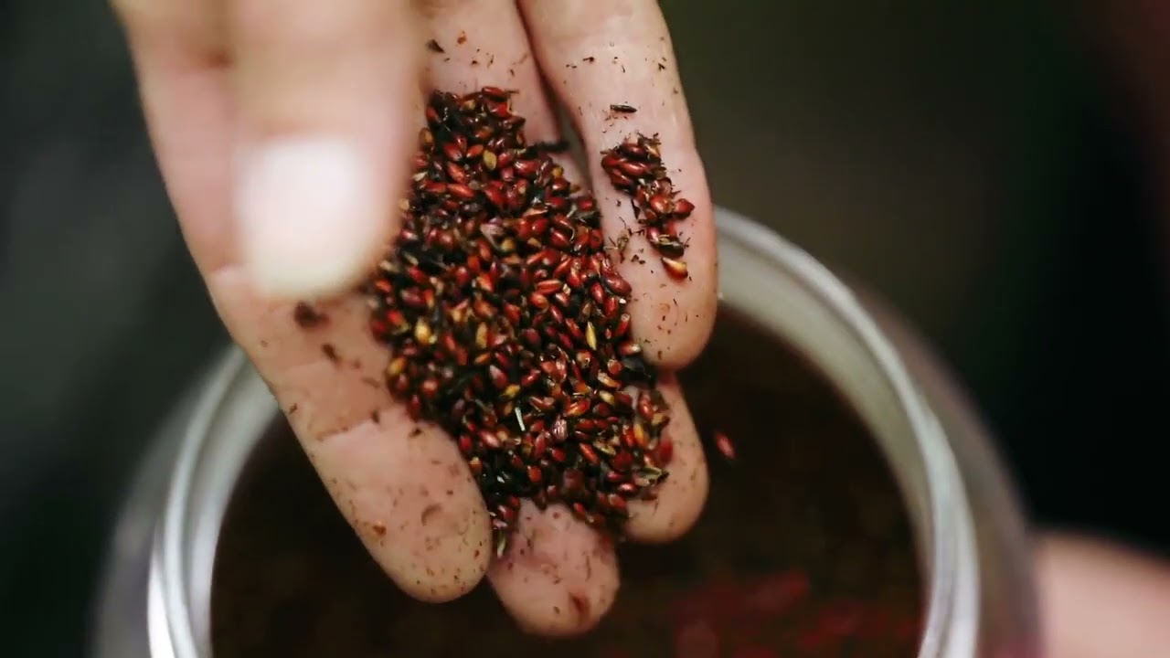 Our Nursery - Australian Ecosystems