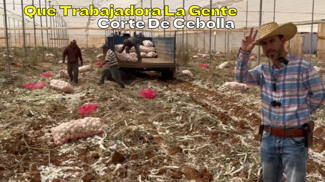 Saludos Amigos Desde El CAMPO Zacatecano.