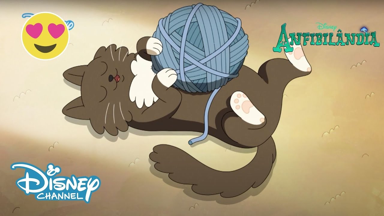 Anfibilândia | Missão Felina