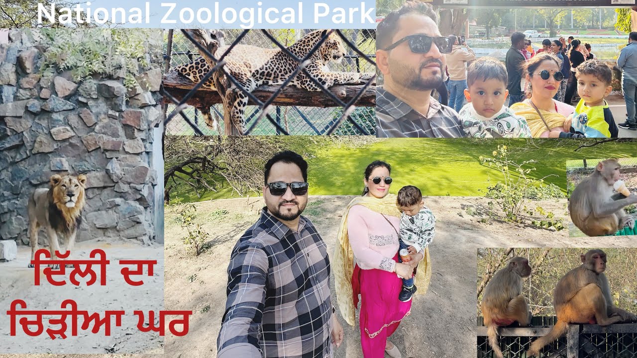 Delhi Zoo | ਦਿੱਲੀ ਚਿੜੀਆ ਘਰ | #fun #Travel vlogs