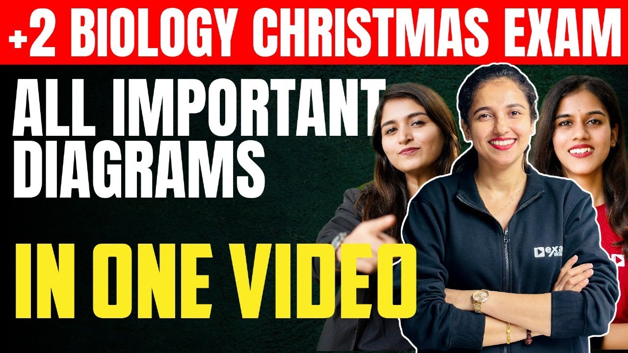 Plus Two Biology Christmas Exam | All Important Diagrams | Must Watch | Exam Winner +2