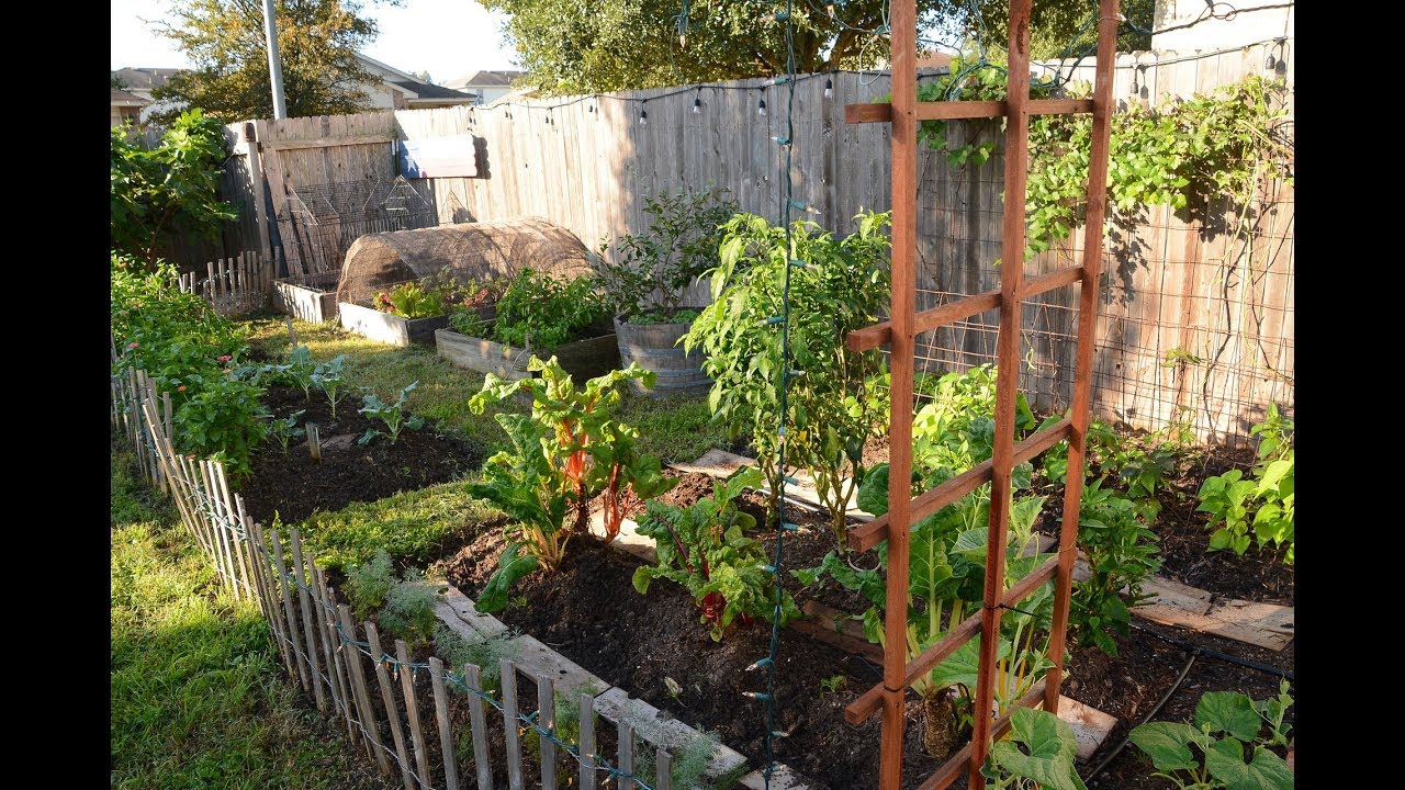 First Garden on a Budget: Kristen and Phillip Knight | Central Texas Gardener