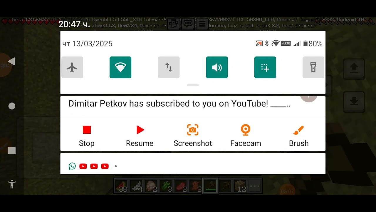 Започнах нова поредица -Minecraft