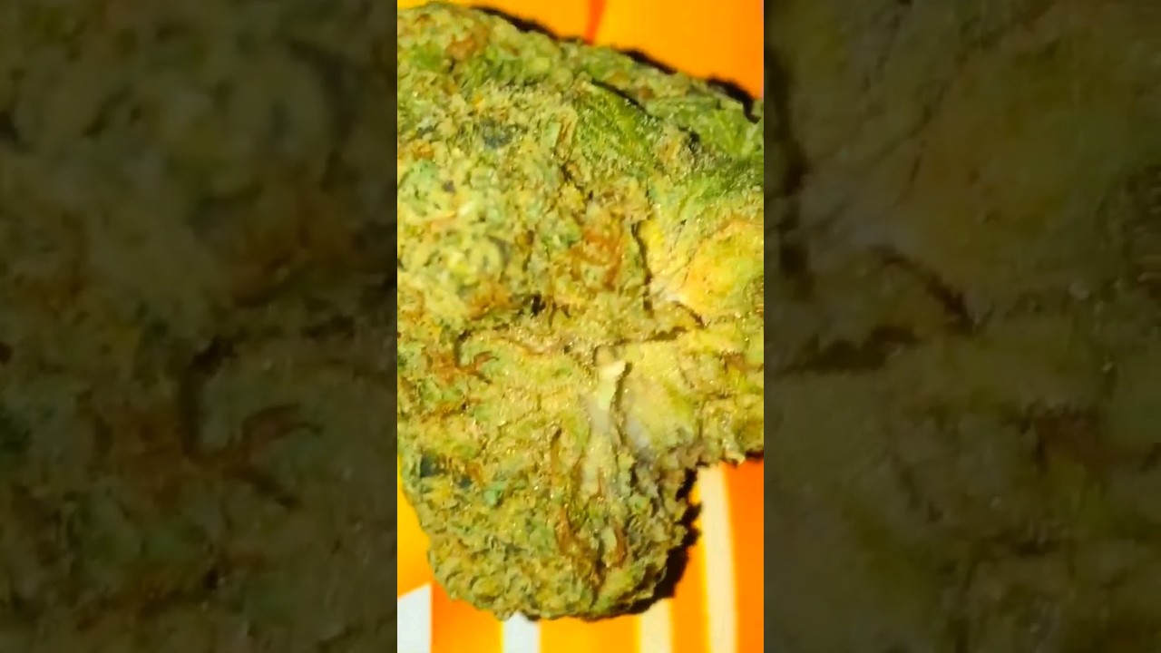 (Nug Shots) Versus - 