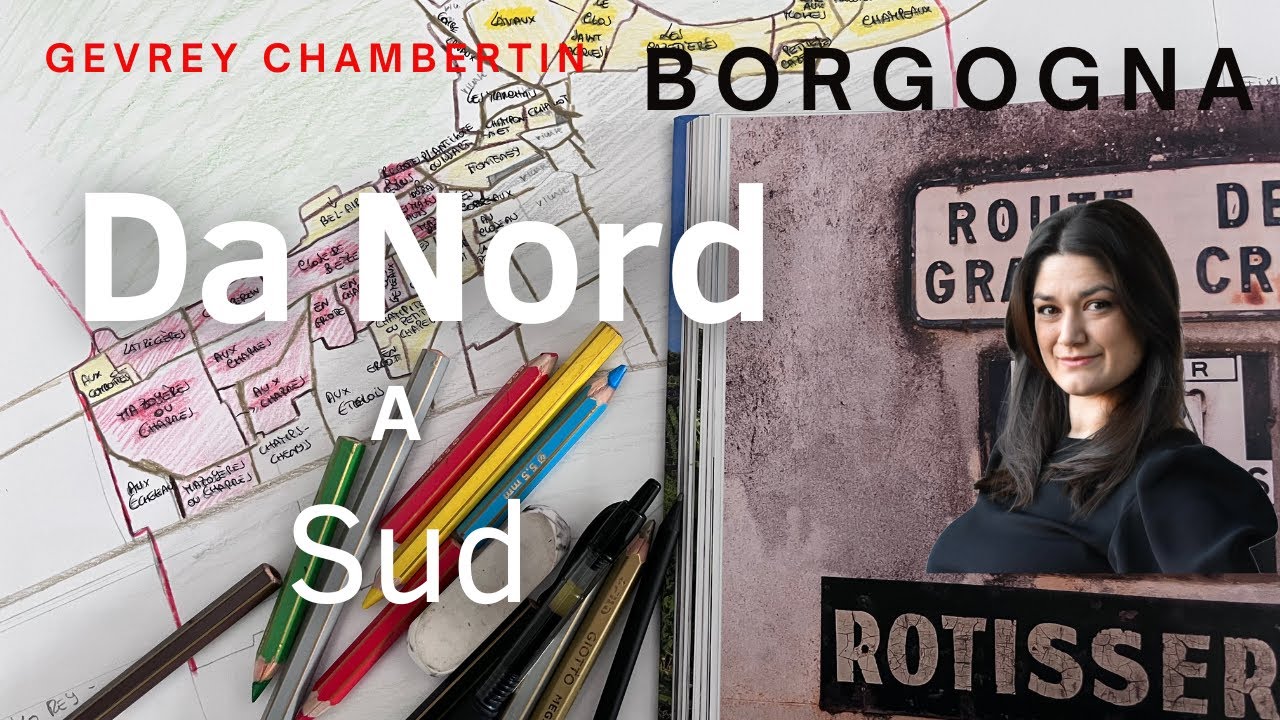 SCOPRIAMO LA BORGOGNA: DISEGNIAMO INSIEME GEVREY CHAMBERTIN 🍷✨