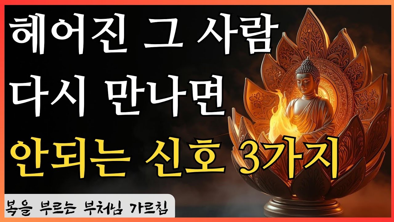 끊어진 인연, 문득 떠오르는 그 사람 | 다시 만나기 전 반드시 확인해야 할 3가지 기준 | 부처님께서 말씀하신 돌아온 인연의 진실