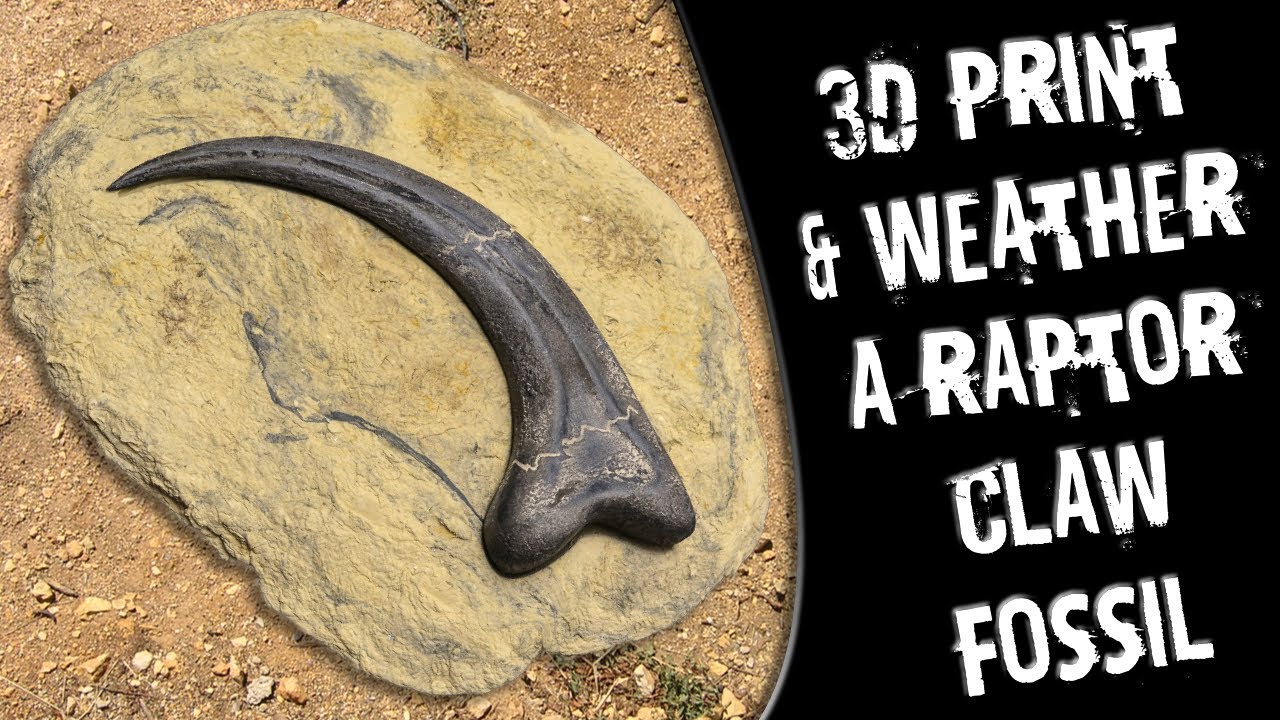 DIY 3D Printed Jurassic Park Raptor Claw Fossil with Display Base