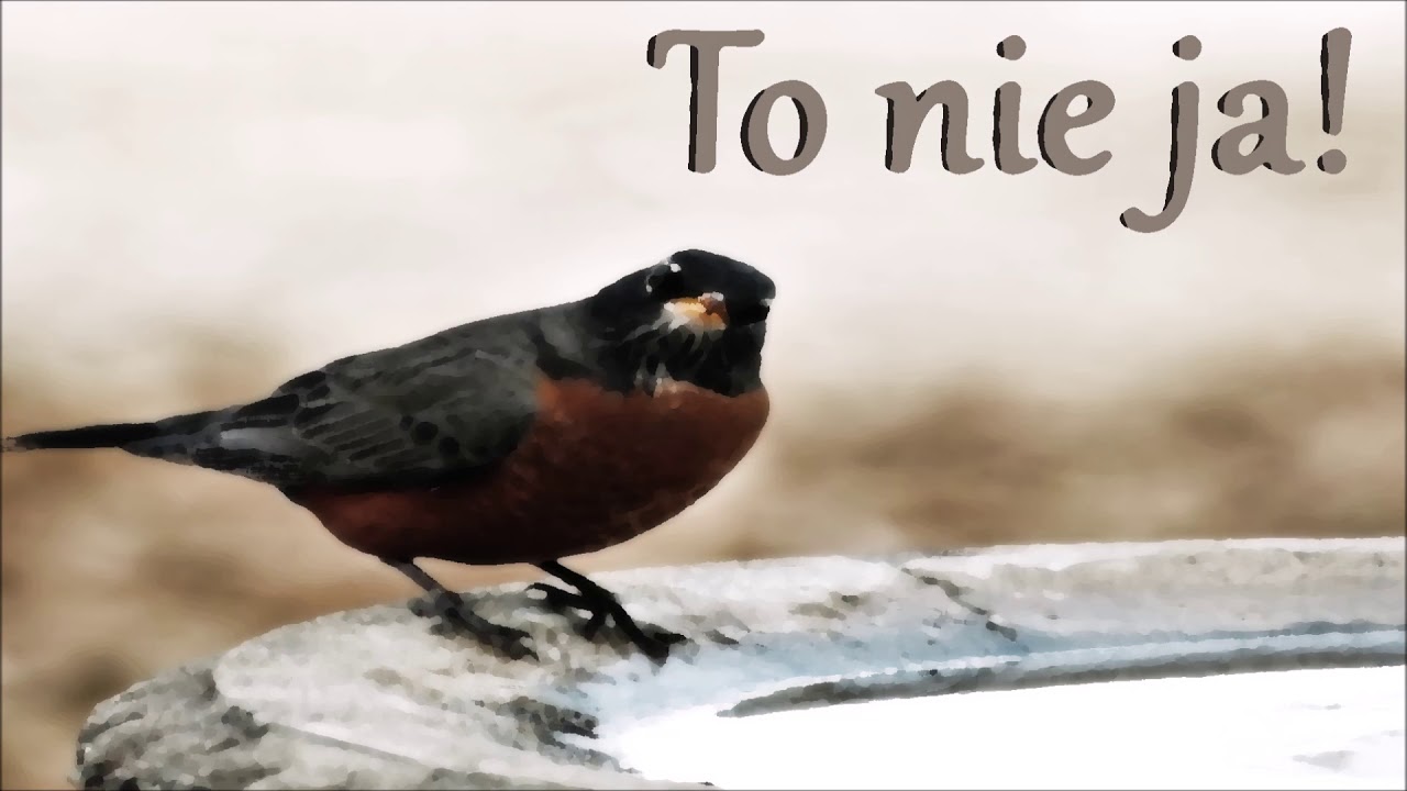 Mirosław Kulec - To nie ja! (Kazanie)