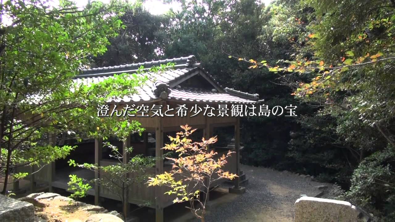 のほほん大津島ＰＶ