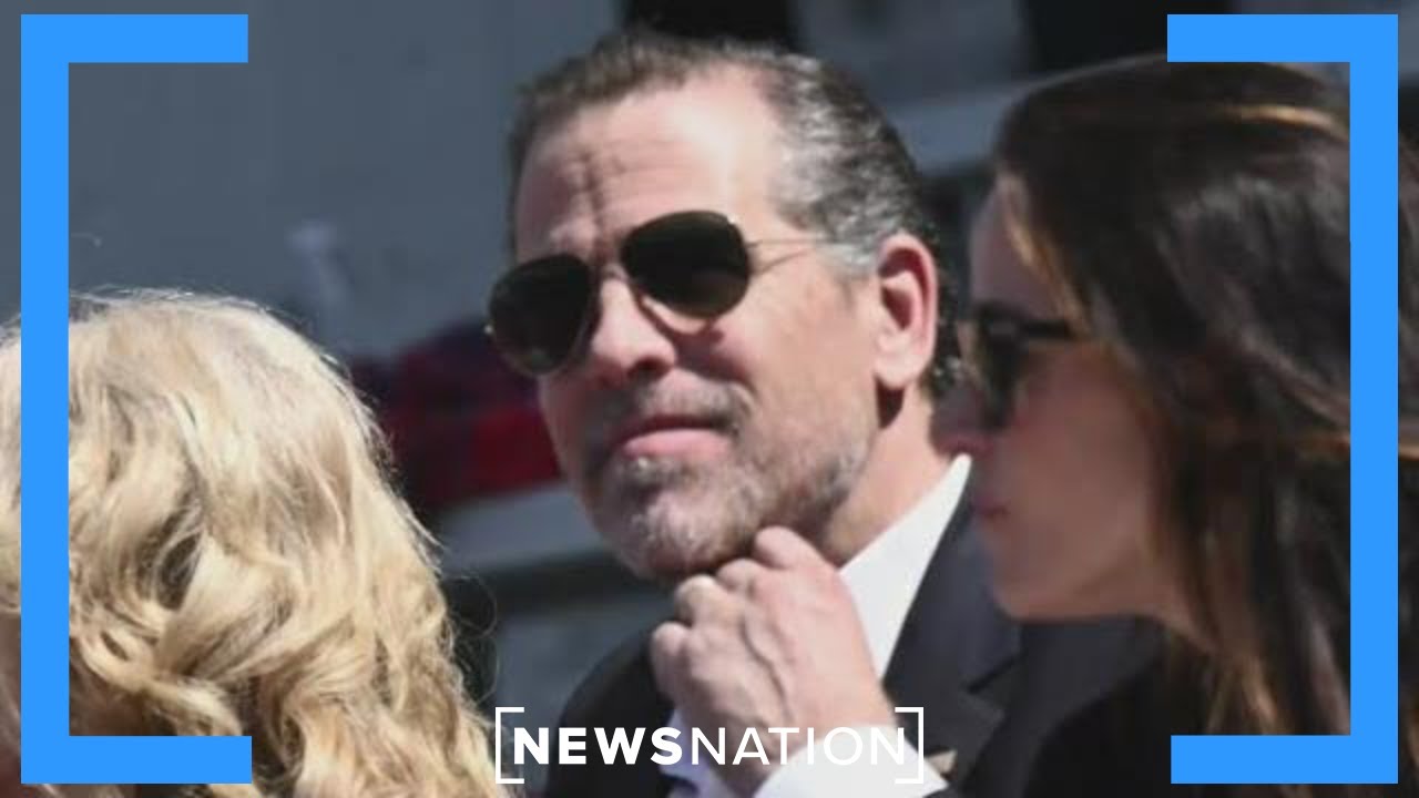 Panel: Analyzing Hunter Biden business associate's testimony | The Hill