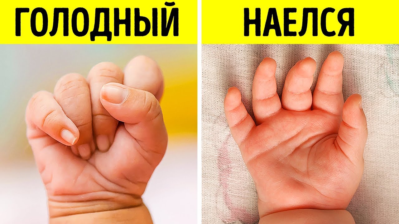 18 важных намеков, которые пытаются вам дать малыши