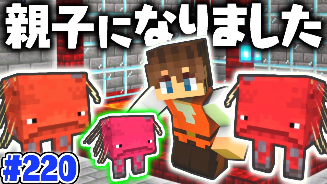超難関のストライダー繁殖に挑戦!!マグマに当たらず子供を作れるか!?マイクラ実況Part220【マインクラフト】