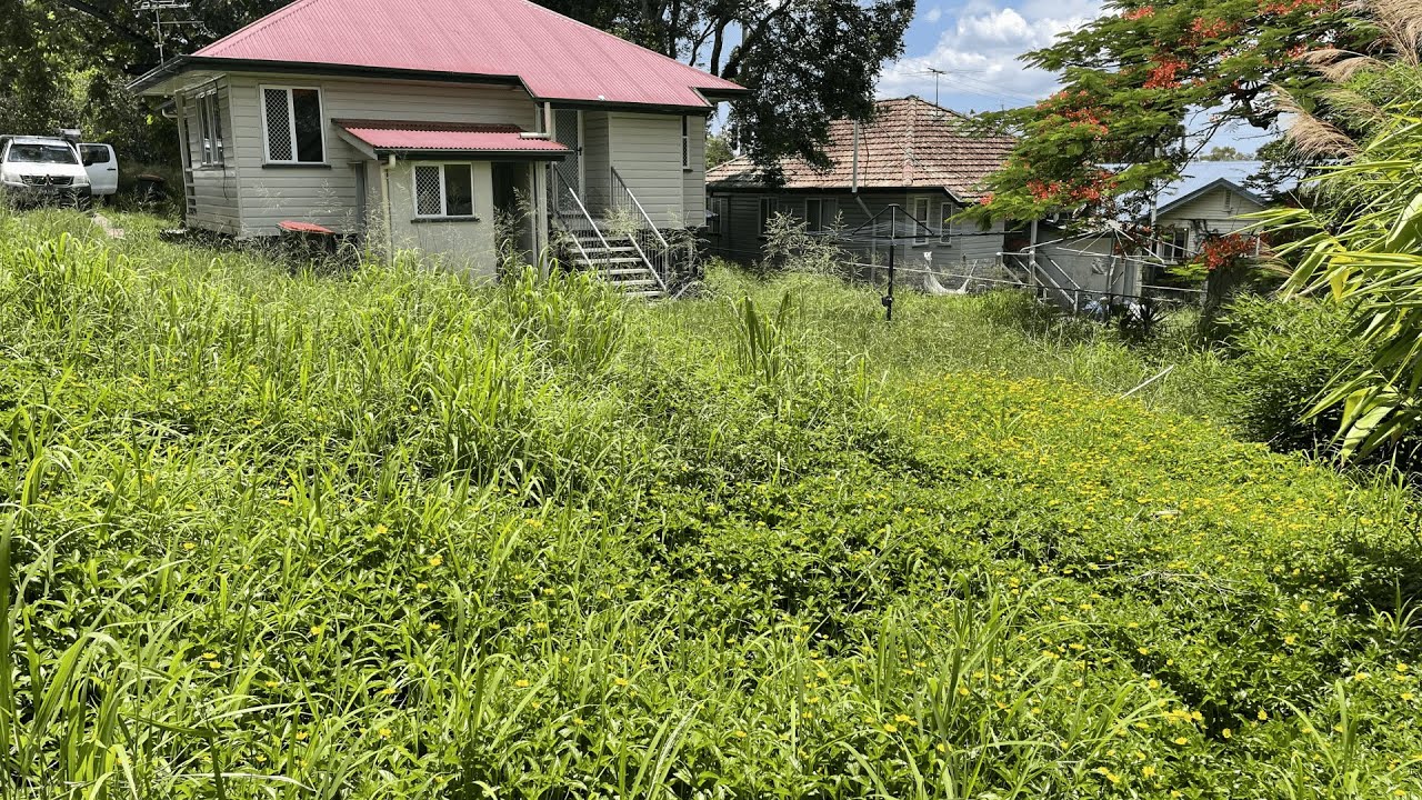 OVERGROWN yard kept her TRAPPED inside for MONTHS the TRANSFORMATION left her in TEARS