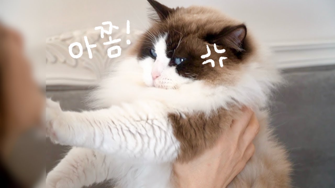 아 뽀뽀 한번만 하게 해줘…