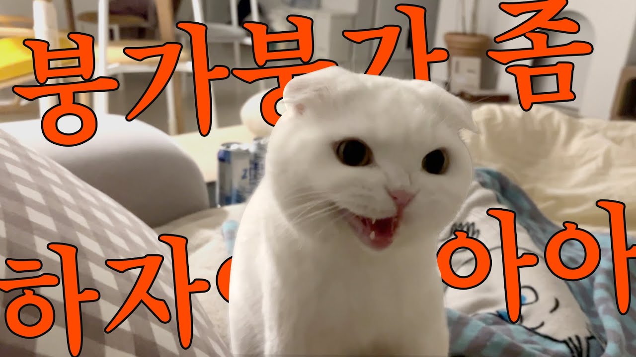 엄마 위로하는 척 붕가붕가 해버리기