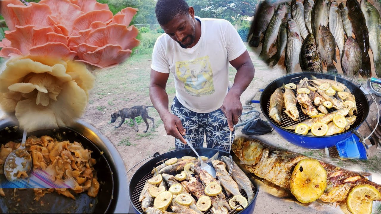 Exciting Crocodile Territory Night Hunt: Jamaican-style Garlic Butter Pink Oyster 🍄 Jerk Fish