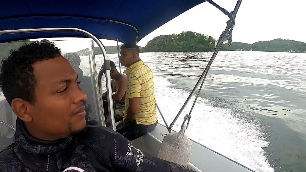 freediving and spearfishing NORTH COAST TRINIDAD 🇹🇹 WoW