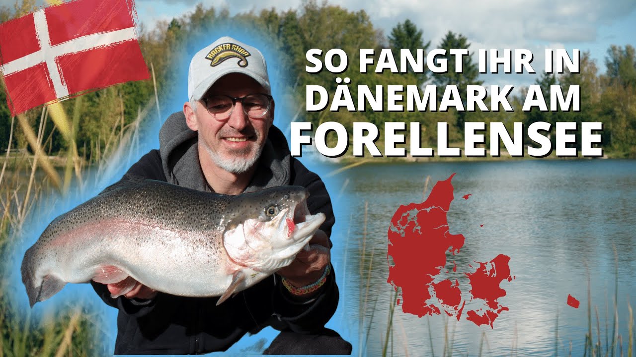 Angeln in Dänemark am Forellensee🎣 Tackle, Methoden und Bestimmungen zum Forellenangeln