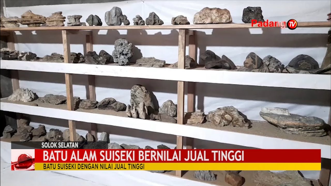 BATU ALAM SUISEKI BERNILAI JUAL TINGGI