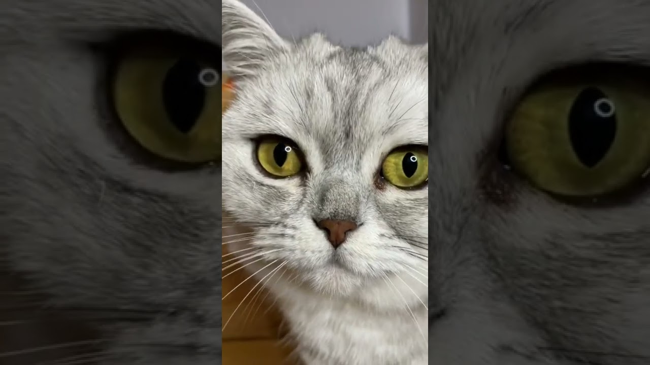 Maja w roku 2021 cześć 2 😺
