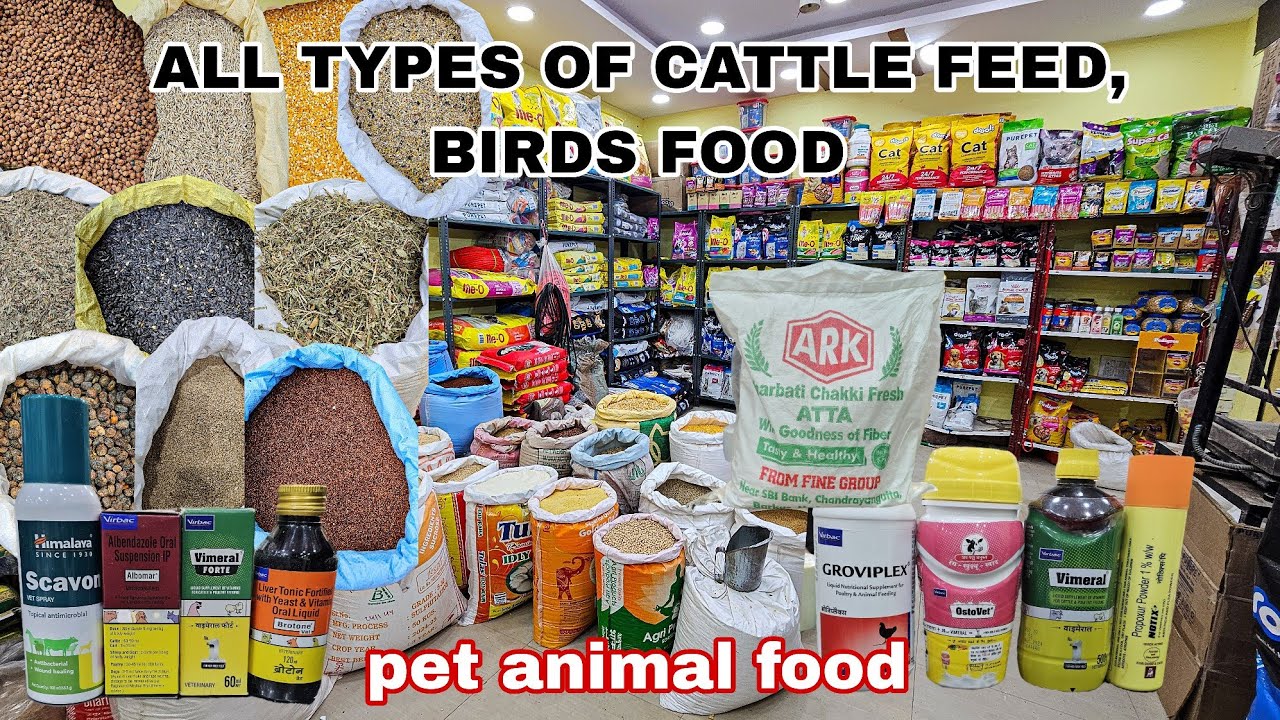 WHOLESAR & RETAIL Chunni bhusa, Cattle feed & all pet feed shop | all types of birds feed