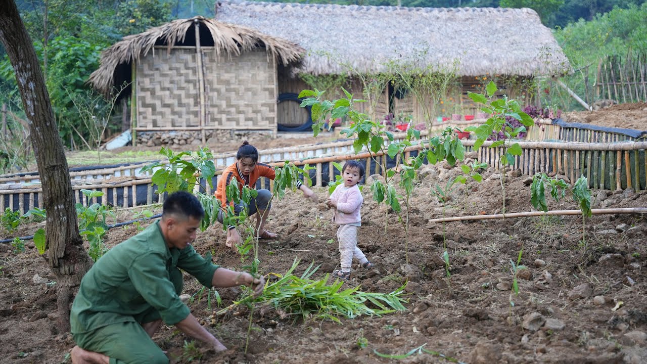 Gardening, Harvesting and Planting, Family Farm | EP. 09