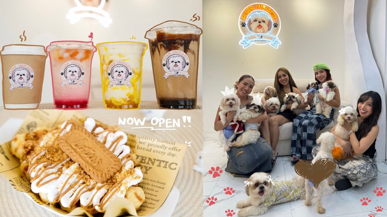 OUR FIRST DOG CAFE IN QUEZON CITY (PHILIPPINES) | FURR IMPACT DOG CAFE