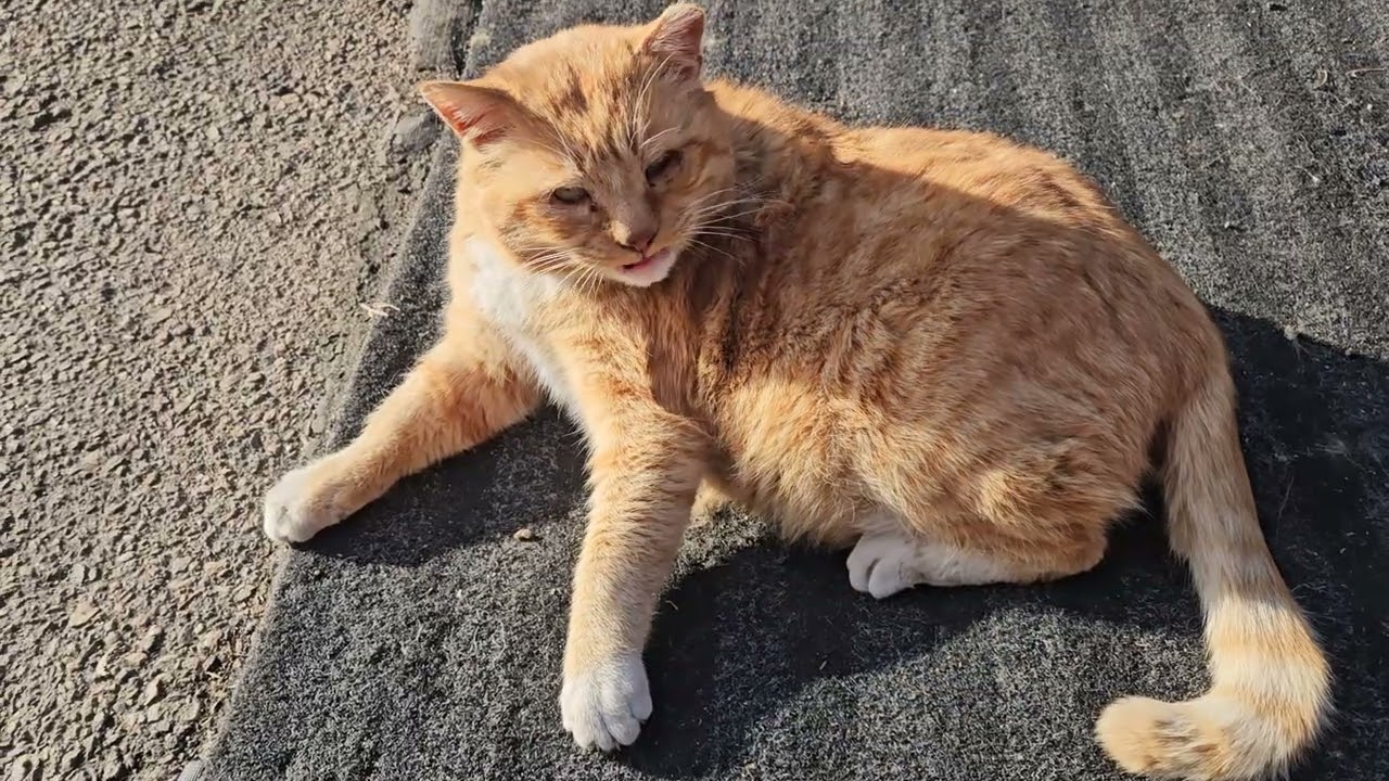 부지런