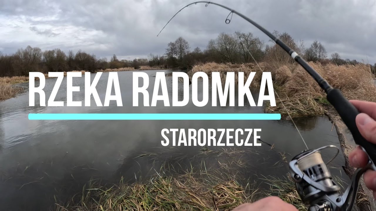 Starorzecze rzeki Radomki /  Spinning drop shot / odc. 50