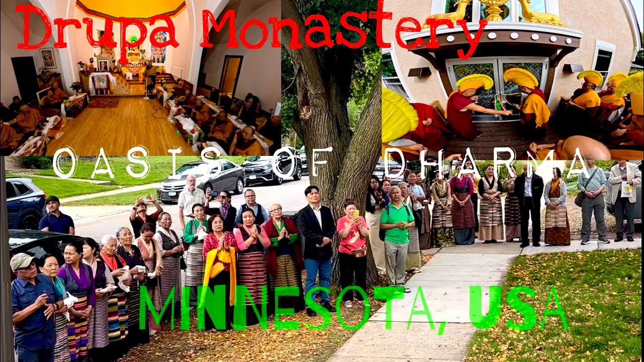 Торжественное открытие монастыря Друпа — оазиса Дхармы #tibetanvlogger #buddhism #tibetan