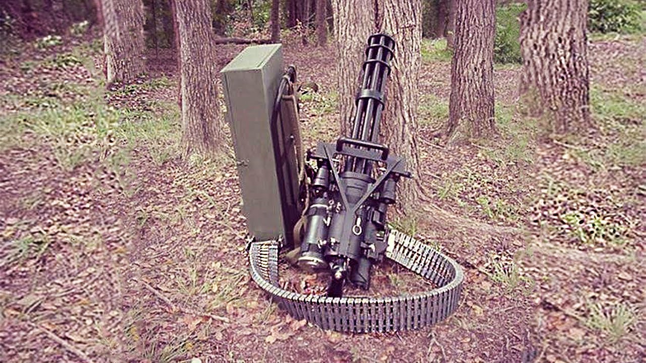 12 RAREZAS QUE ENCUENTRAS EN EL BOSQUE