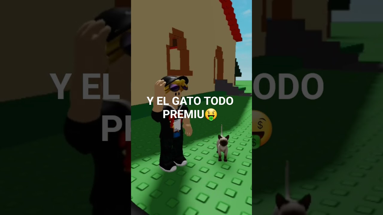 MI AMIGO Y EL GATO PREMIUM🤑