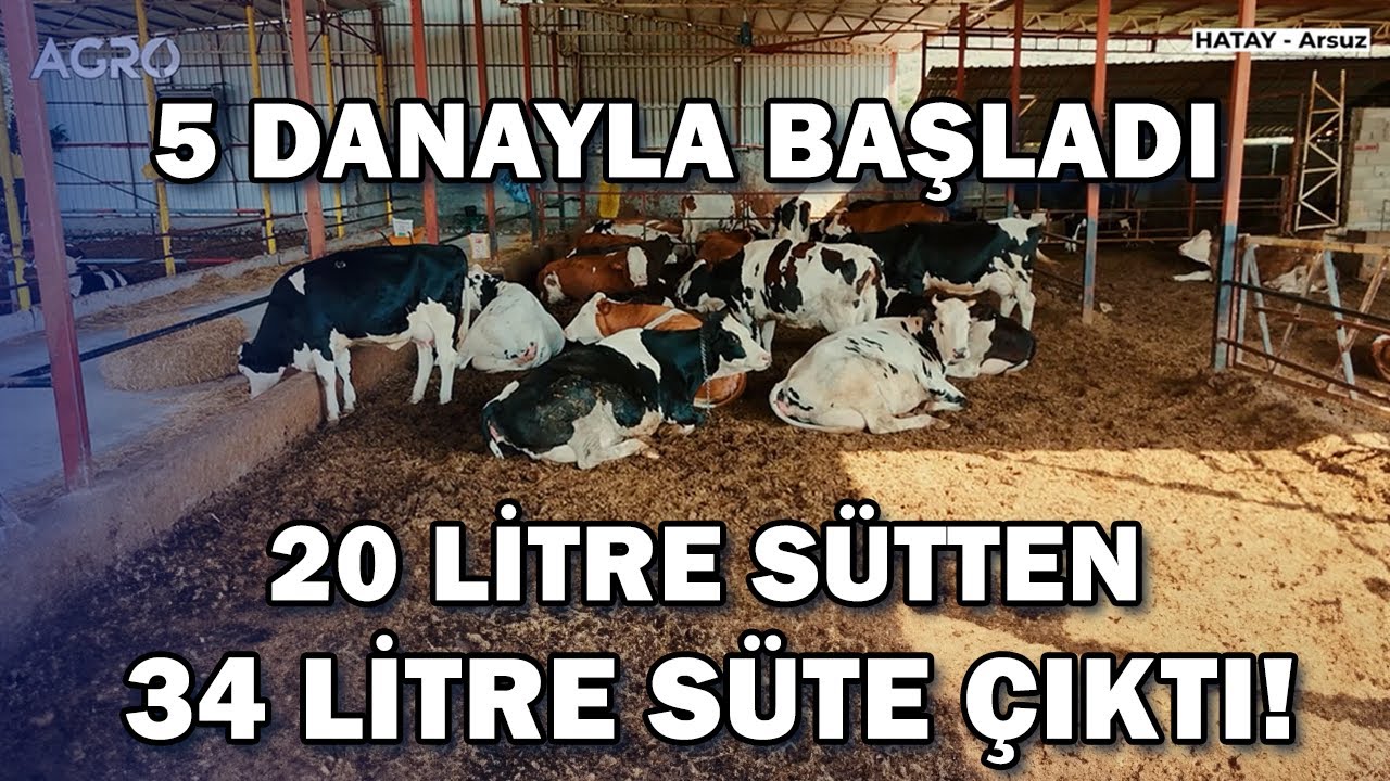 5 İnekle Başladı! 20 Litre Sütten 34 Litre Süte Nasıl Çıktı? / Gündem Sektör