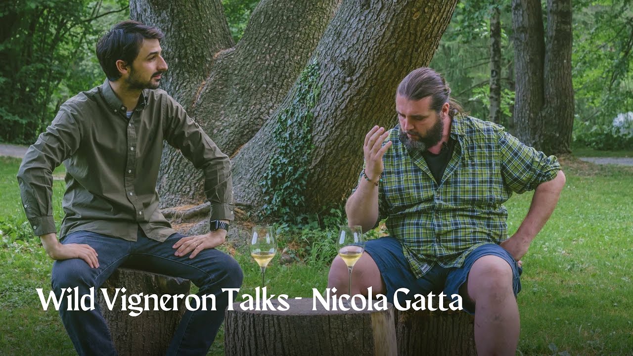 WILD VIGNERON TALKS - Ep. 5: Vino 