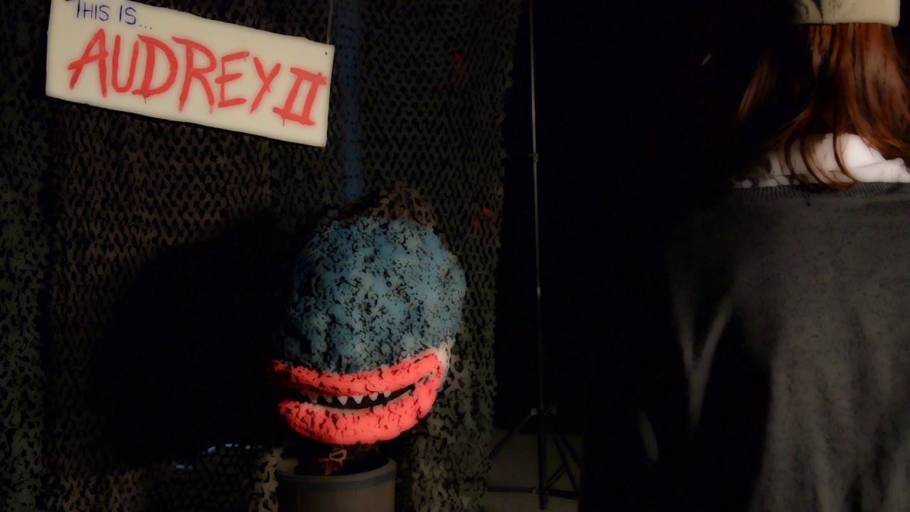 Little Shop of Horrors - Feed Me -  Waingels College 2017