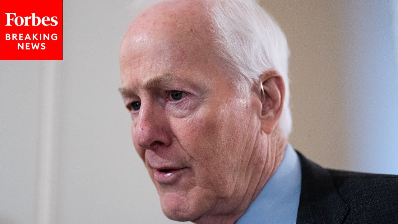 'We Should All Find This Development Alarming': Cornyn Decries Low Voter Turnout In Local Elections