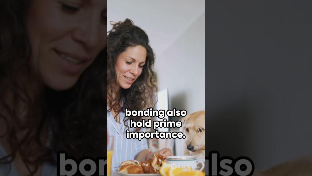 quick pet grooming hacks for dog  