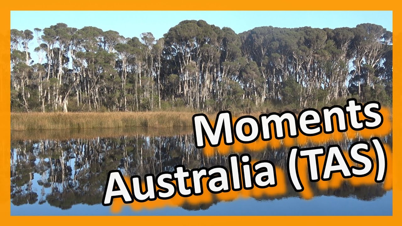 Australia - Tasmania - Moments