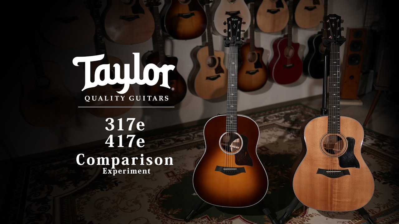 Taylor 317e & 417e-R Comparison / MION experiment