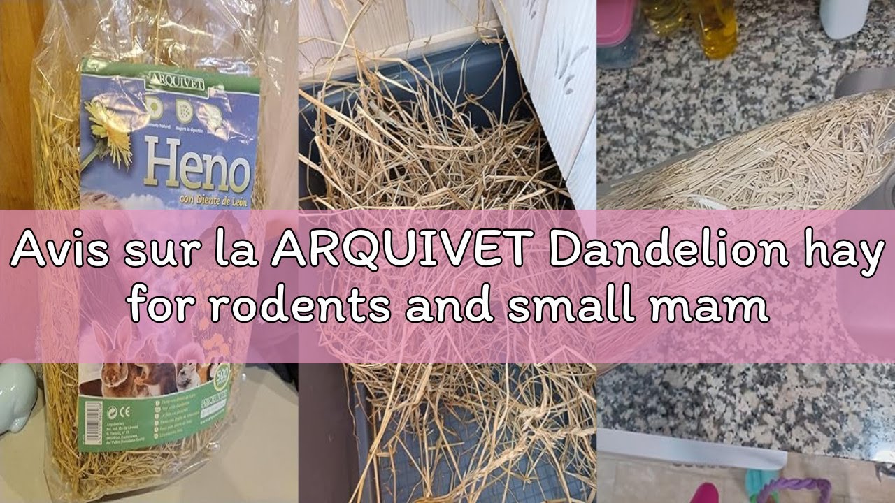Avis sur la ARQUIVET Dandelion hay for rodents and small mammals - 500g - Hoy for rabbits, guinea pi