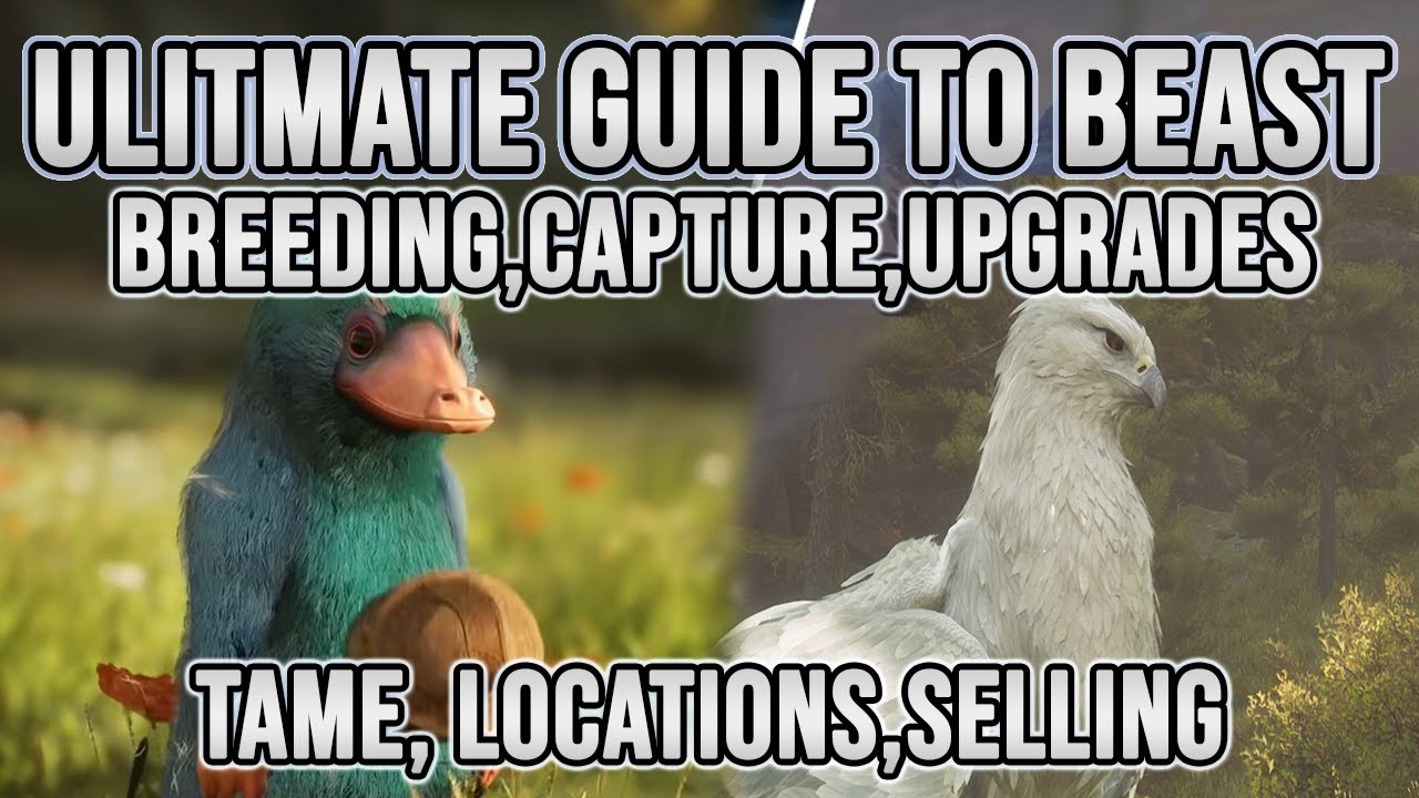 Hogwarts Legacy : Complete Guide To Beasts - Breeding, Capture, Locations,Tame, Upgrades! Everything