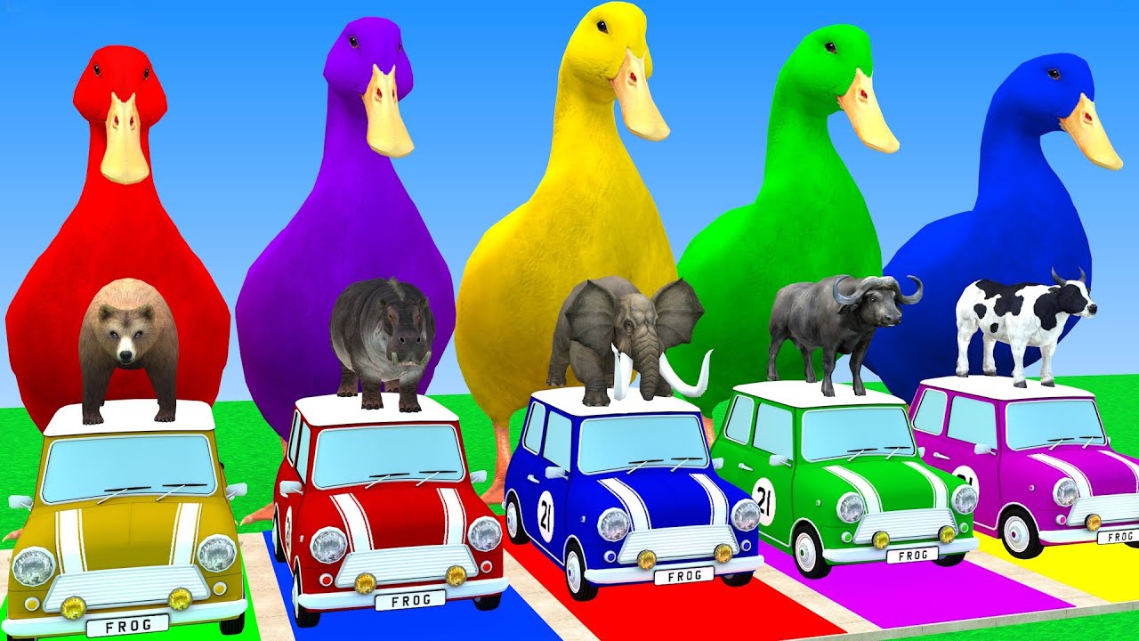 Long Slide Game With Cow Elephant Gorilla Hippopotamus Tiger 3d Animal Game Funny 3d Animals