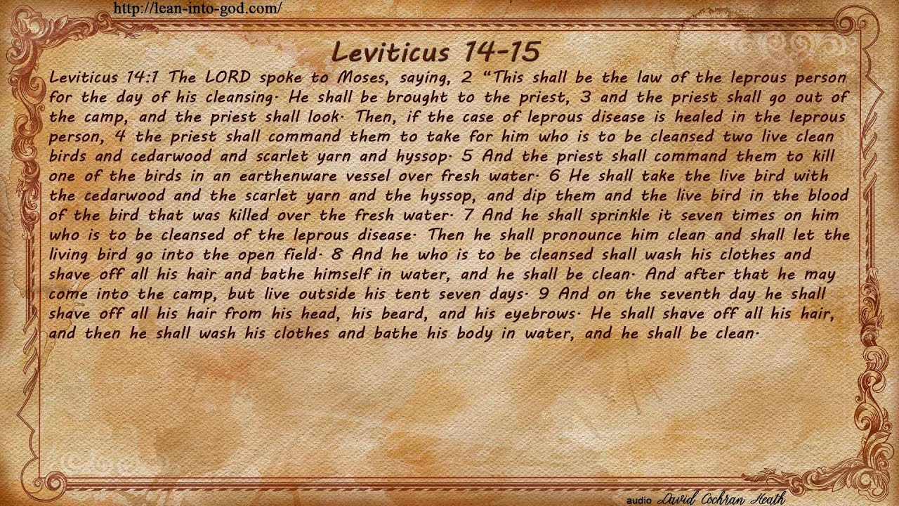 Левит 14-15